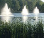 Kalamazoo campus swan pond