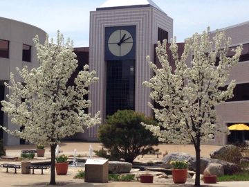 Kalamazoo spring 2014