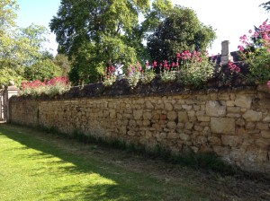 on the way to the Library