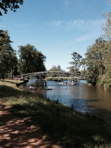 Oxford, punting on the river.